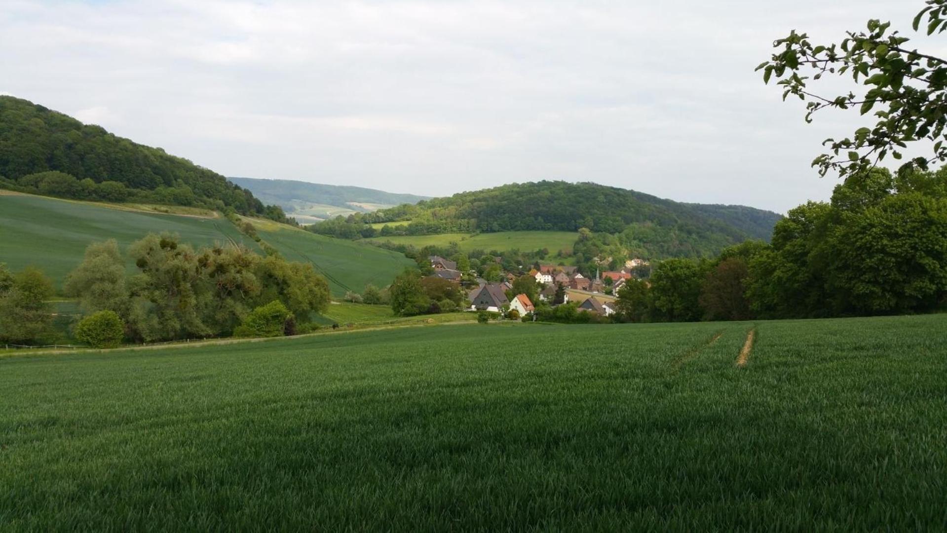 Urlaub Mit Hund In Bodenwerder Διαμέρισμα Εξωτερικό φωτογραφία